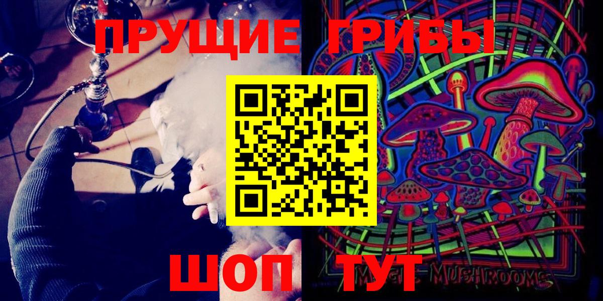 Псилоцибиновые грибы Psilocybe Ленинск-Кузнецкий